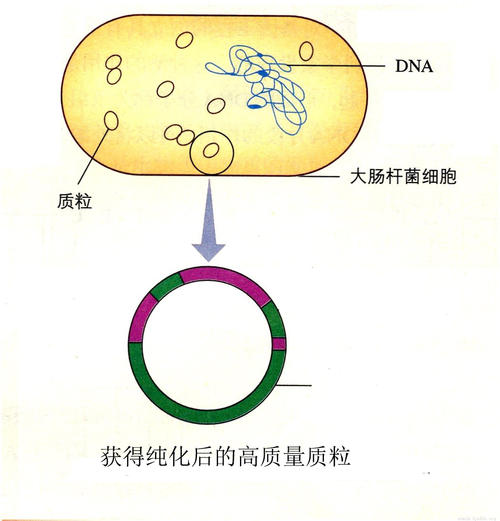 ������ȡ