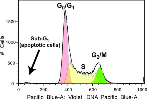 ϸ������