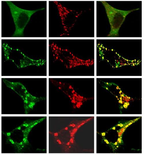 ���⹲�۽�