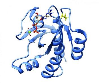 ������ѧ����