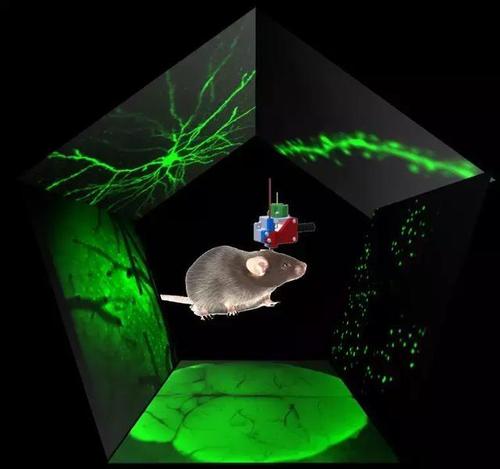 ˫����ʵ��