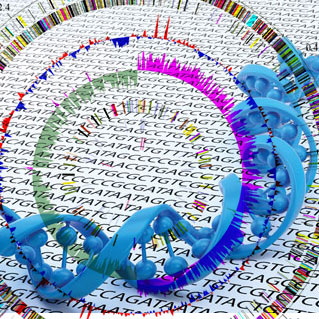 ȫ���������