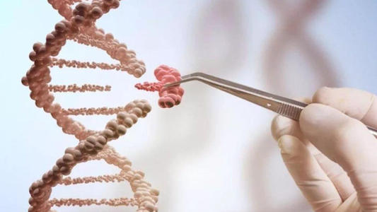 �׻�������